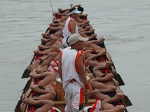 这个角度看上去想一排烤鸭