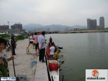 6-18兴趣龙-石马-南岸恢复常规训练