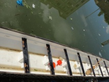 终于有属于自己队伍的龙舟了 告别借龙舟划时代了 嘿