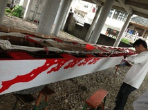 花浃开始画龙了，好样的