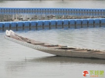 乐清中心公园一条大龙被洪水冲到河中间，赶快去拉回家