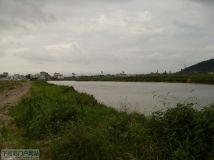 6-28陡门头至南岸河道实景全览