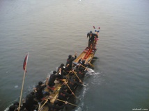 2006年端午柳市龙舟