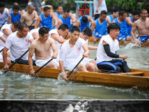 i爱米丽桥下：乐清龙舟，摄于白象湖和乐清东浦河