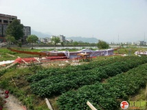 130511北白象塘下