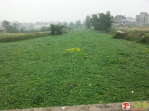 130514大港大战水葫芦