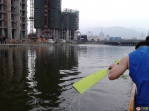 下午野狼拉出溜了一圈