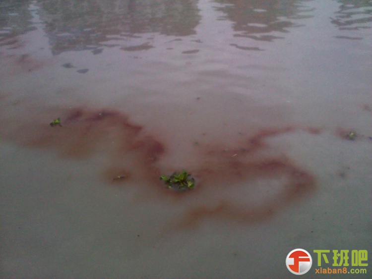 2013-05-07 15.08.58.jpg