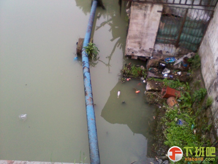 2013-04-01 10.34.09.jpg